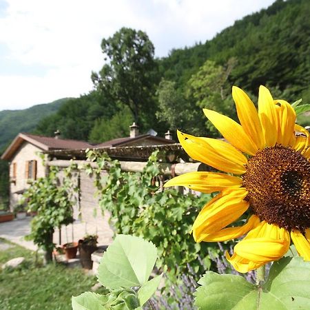 Agriturismo Ca Sonino Bettola  Exterior photo